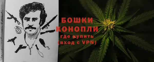 apvp Бородино