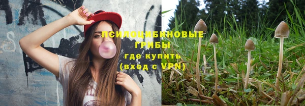 apvp Бородино