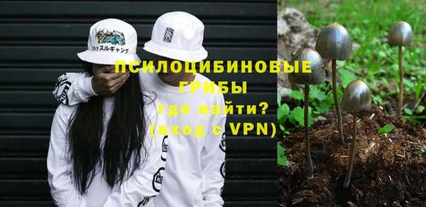 таблы Верхний Тагил