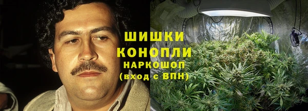 apvp Бородино