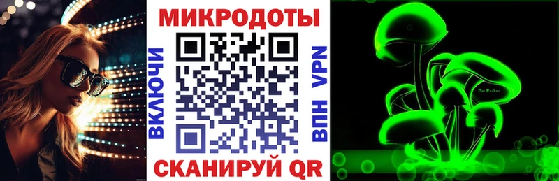 Псилоцибиновые грибы Psilocybe Киреевск